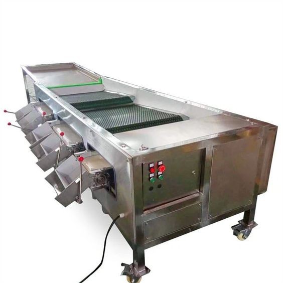 blueberry sorting machine blueberry sorting machine