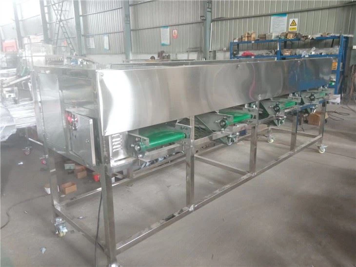 Automatic Onion Sorting Machine