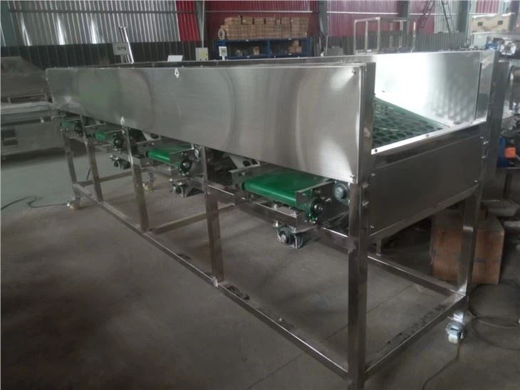 Automatic Onion Sorting Machine