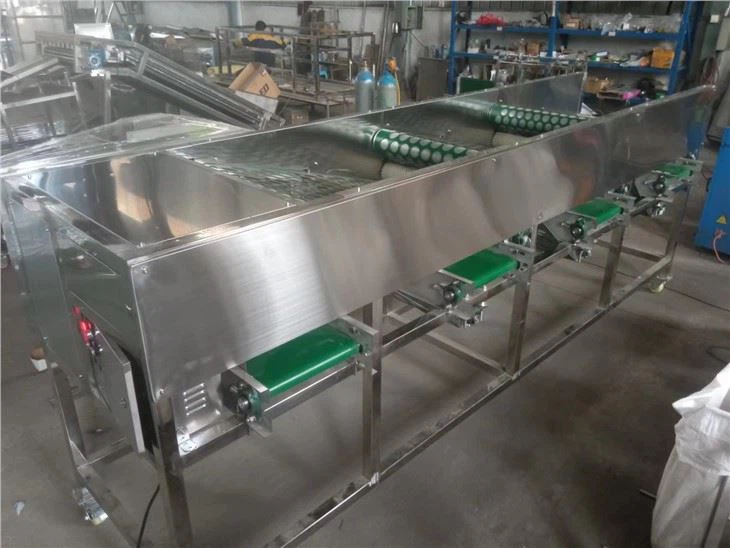 Automatic Onion Sorting Machine
