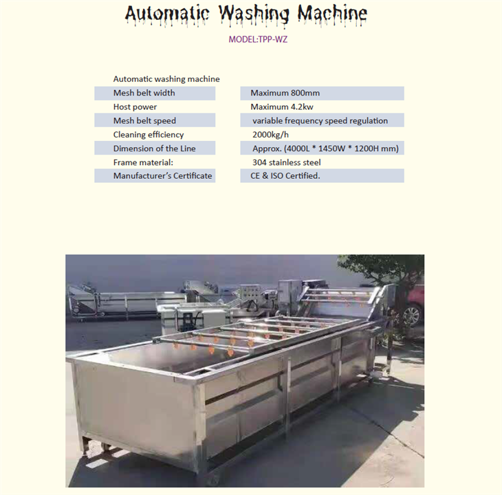 Automatic Mango Washing Drying Sorting Line