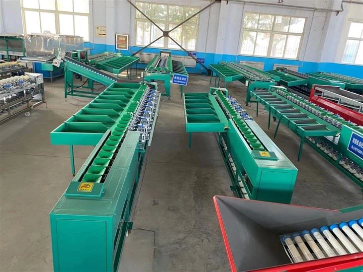 Avocado Dragon Fruit Sorting Machine high quality