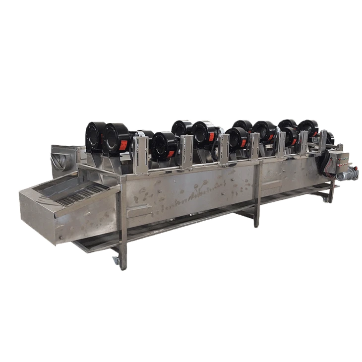 Date Washing Drying Sorting Line best