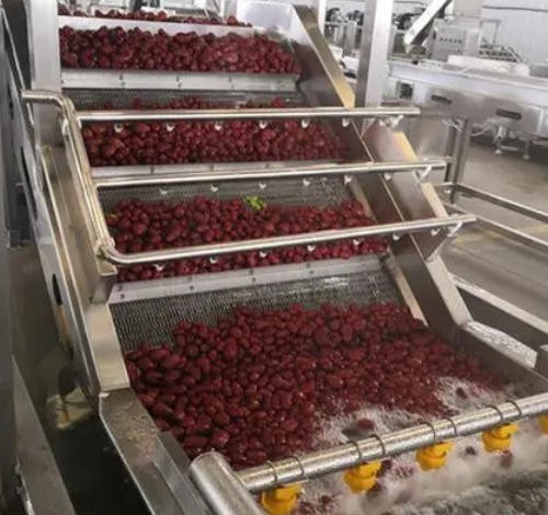 Date Washing Drying Sorting Line price