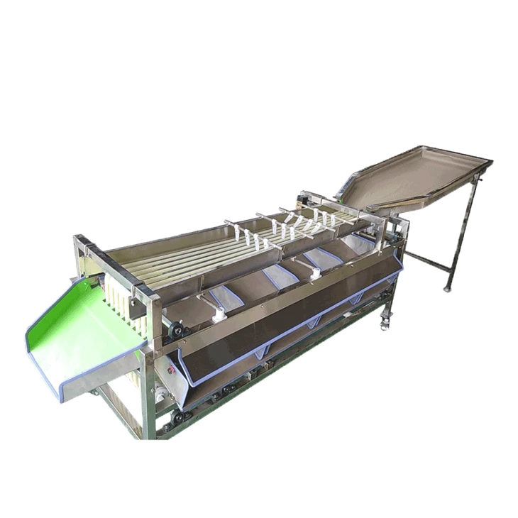 Date Washing Drying Sorting Line factory