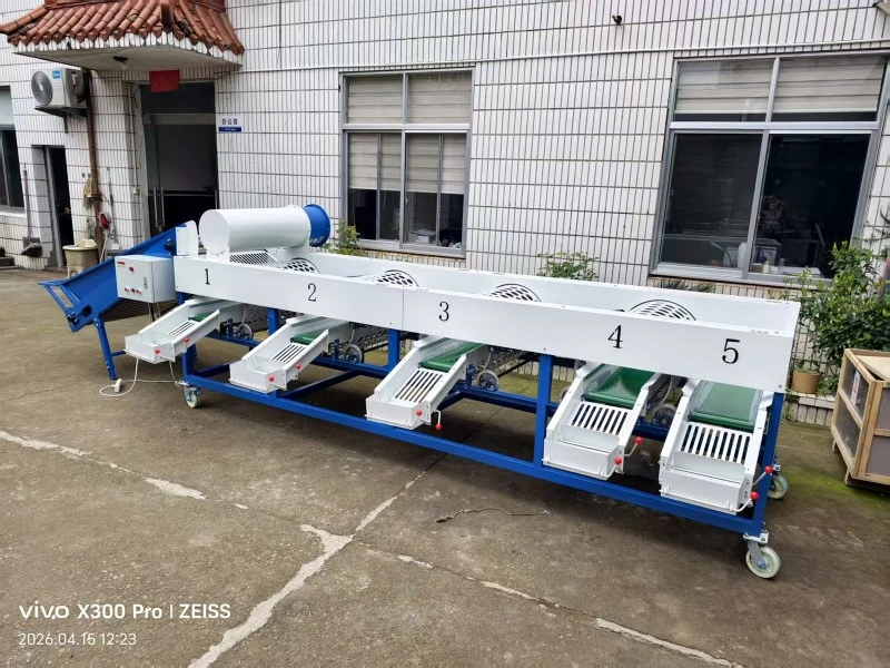 garlic sorting machine garlic sorting machine