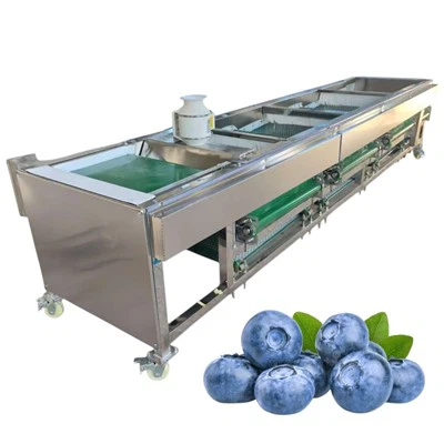 Sorter Grading Blueberry Machine